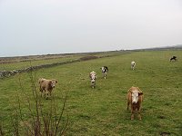 (84 Ko)
