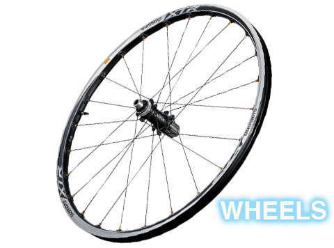 wheels.image.-image.dash.png