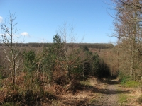 20140323_095520_img_8286