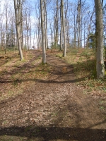 20140323_145840_dscn4568