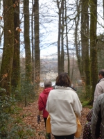 20140323_163609_dscn4580