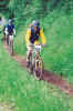 20000611_125b.jpg (50353 octets)