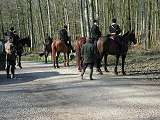 (76890 octets)
