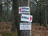 (66501 octets)